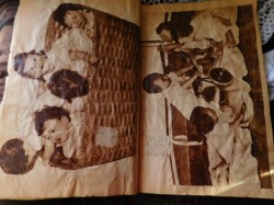 dionne scrap book main